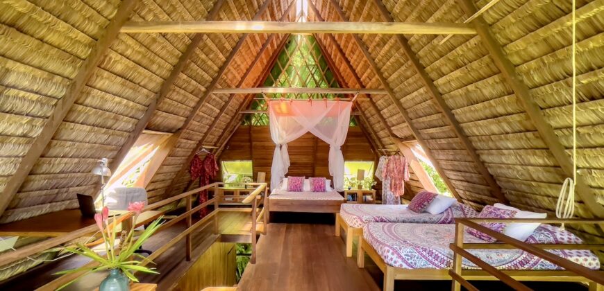 Spectacular Rainforest and Ocean View Retreat