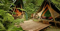 Spectacular Rainforest and Ocean View Retreat