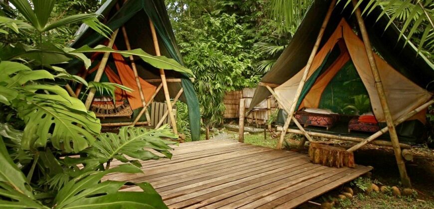 Spectacular Rainforest and Ocean View Retreat