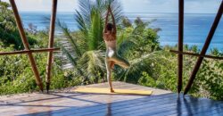 Spectacular Rainforest and Ocean View Retreat