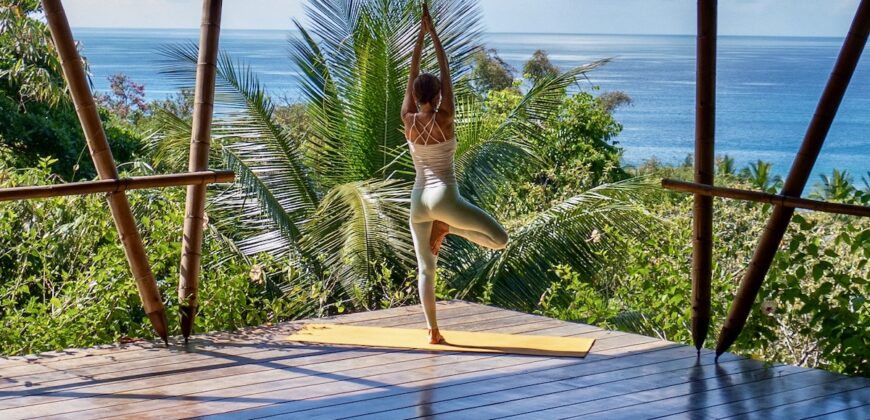 Spectacular Rainforest and Ocean View Retreat