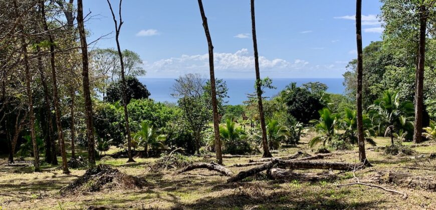 Matapalo Ocean and Forest View Lots