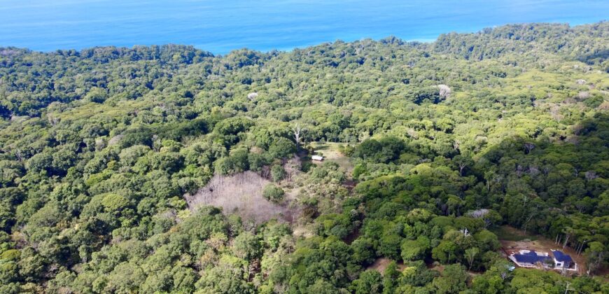 Matapalo Ocean and Forest View Lots