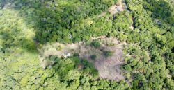 Matapalo Ocean and Forest View Lots