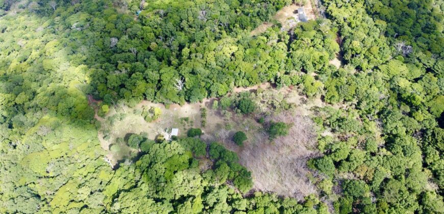 Matapalo Ocean and Forest View Lots