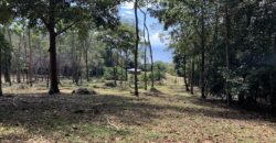 Matapalo Ocean and Forest View Lots