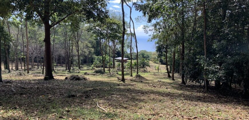 Matapalo Ocean and Forest View Lots