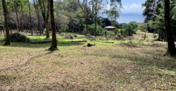 Matapalo Ocean and Forest View Lots