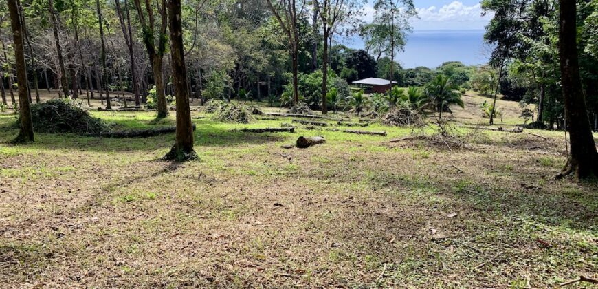 Matapalo Ocean and Forest View Lots