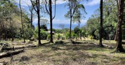 Matapalo Ocean and Forest View Lots