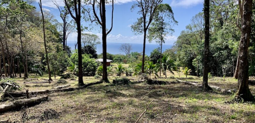 Matapalo Ocean and Forest View Lots