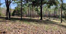 Matapalo Ocean and Forest View Lots