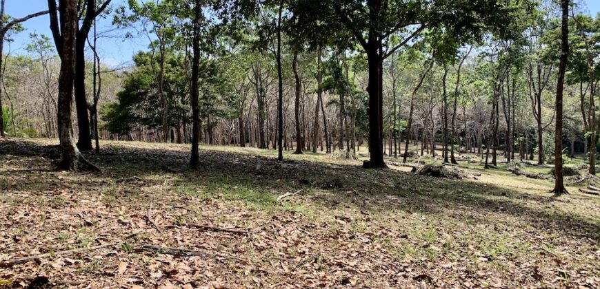 Matapalo Ocean and Forest View Lots