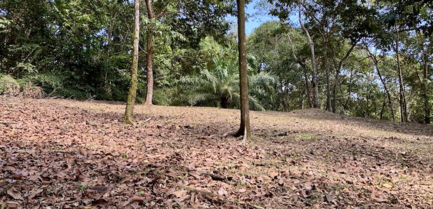 Matapalo Ocean and Forest View Lots