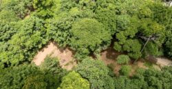 Matapalo Ocean and Forest View Lots