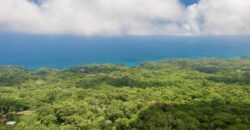 Matapalo Ocean and Forest View Lots