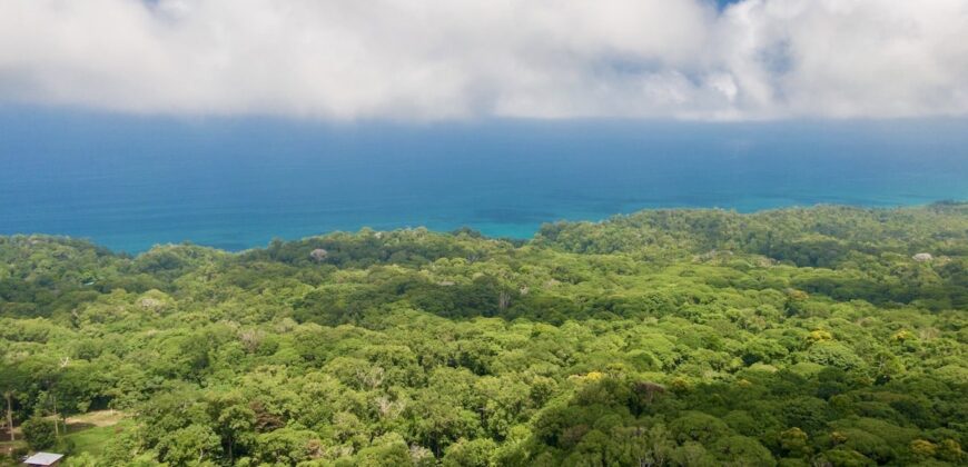 Matapalo Ocean and Forest View Lots