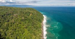 Matapalo Ocean and Forest View Lots