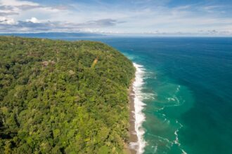 Matapalo Ocean and Forest View Lots