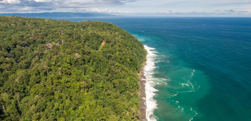 Matapalo Ocean and Forest View Lots