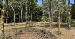 Matapalo Ocean and Forest View Lots