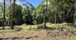 Matapalo Ocean and Forest View Lots