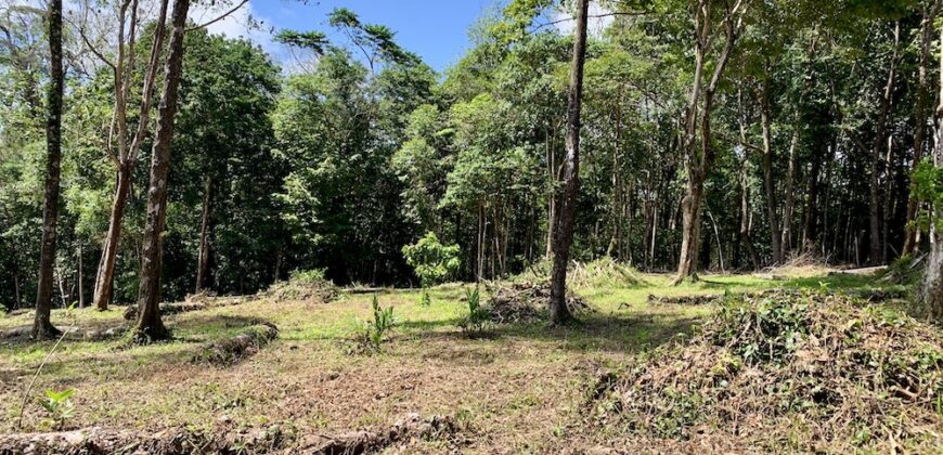 Matapalo Ocean and Forest View Lots