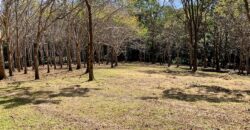 Matapalo Ocean and Forest View Lots