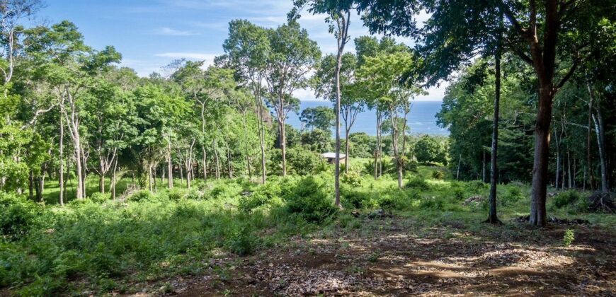 Matapalo Ocean and Forest View Lots