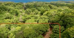 Matapalo Ocean and Forest View Lots