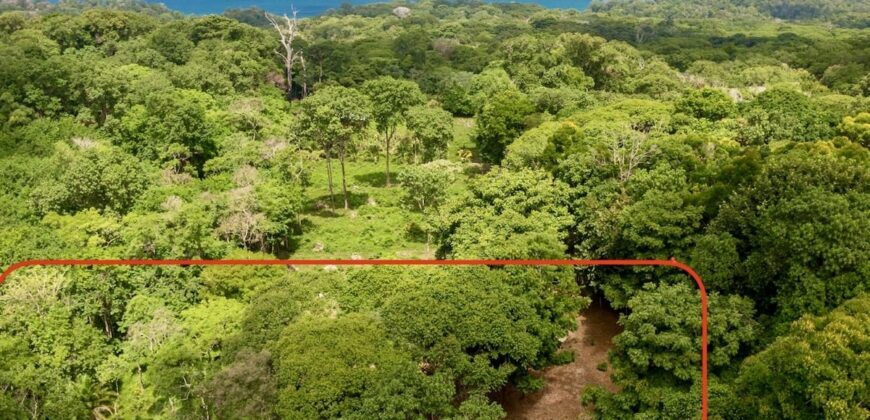 Matapalo Ocean and Forest View Lots