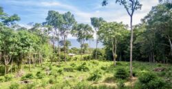 Matapalo Ocean and Forest View Lots