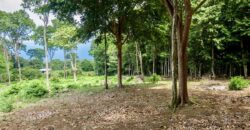 Matapalo Ocean and Forest View Lots