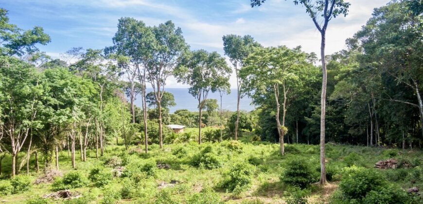 Matapalo Ocean and Forest View Lots