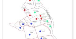 Matapalo Ocean and Forest View Lots