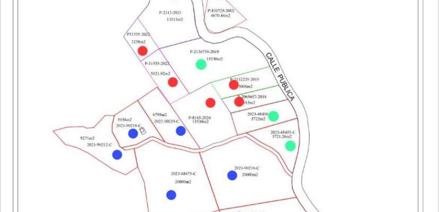 Matapalo Ocean and Forest View Lots