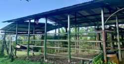 Stunning Ocean View Property