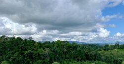 Stunning Ocean View Property