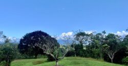 Stunning Ocean View Property