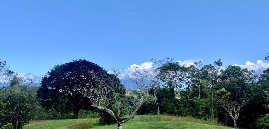 Stunning Ocean View Property