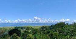 Stunning Ocean View Property