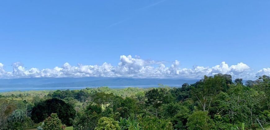 Stunning Ocean View Property