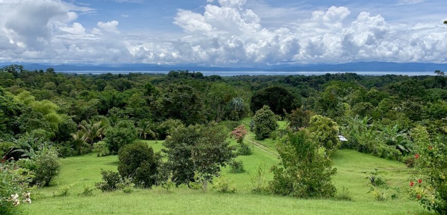 Stunning Ocean View Property