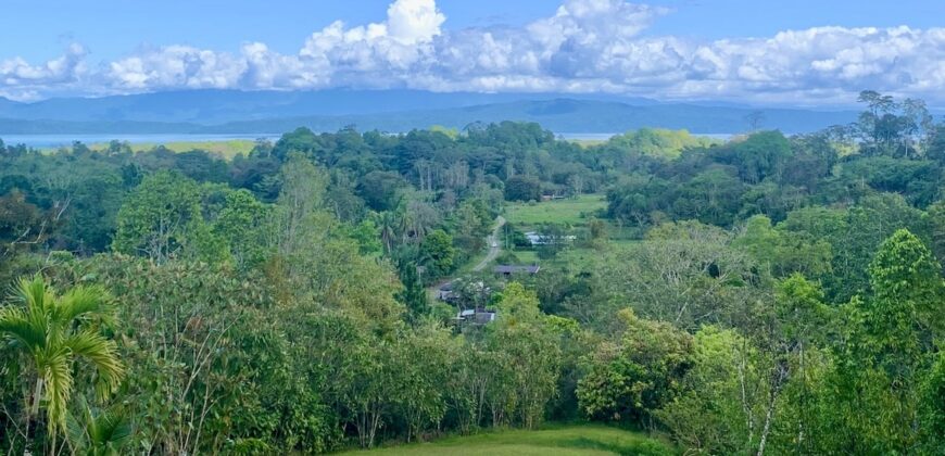 Stunning Ocean View Property