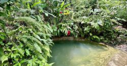 Stunning Ocean View Property