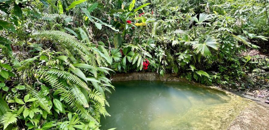 Stunning Ocean View Property