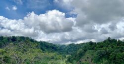 Stunning Ocean View Property