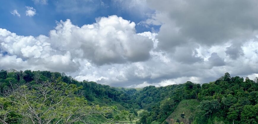 Stunning Ocean View Property