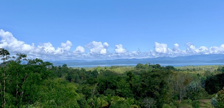 Stunning Ocean View Property