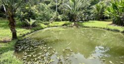 Stunning Ocean View Property